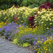 Thumbnail of Landscape: 14_05050.jpg