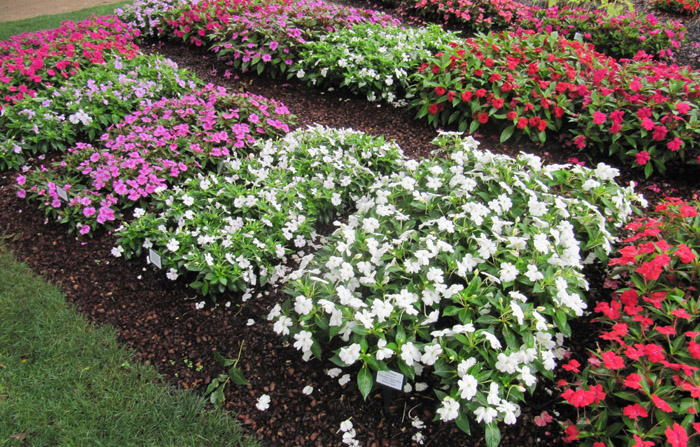 dallas_arboretum_trials