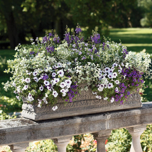 Patio Container: 24879-0001-0028.jpg