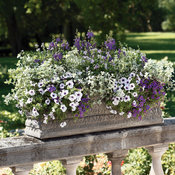 Thumbnail of Patio Container: 24879-0001-0028.jpg