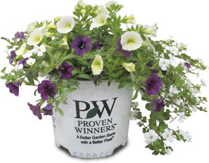 1 Gallon Annual Container