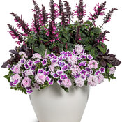Thumbnail of Patio Container: all_the_time.jpg