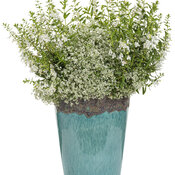 Thumbnail of Patio Container: AquaPot® Volcanic on Milky Blue Tall Round