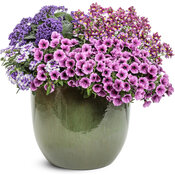 Thumbnail of Patio Container: artisan_attire.jpg