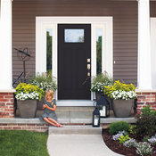 Thumbnail of People/Pets: black_door_decor.jpg