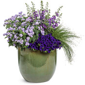 Thumbnail of Patio Container: Called Your Bluff