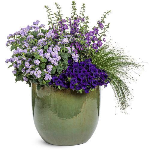 Patio Container: Called Your Bluff