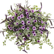 Thumbnail of Hanging Basket: carousel_queen.jpg