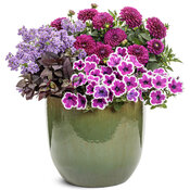 Thumbnail of Patio Container: chic_boutique.jpg
