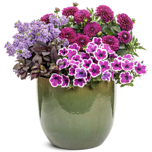 Patio Container: chic_boutique.jpg