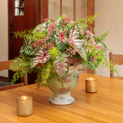 Cut flowers: cut_caladium_combo_a_12.jpg