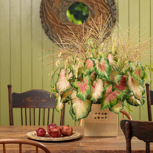 Cut flowers: Pennisetum and Northern Sea Oats