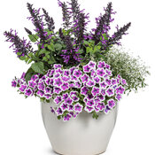 Thumbnail of Patio Container: Dancing with the Moon