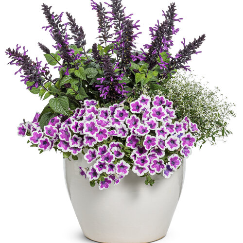 Patio Container: Dancing with the Moon