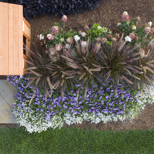 Landscape: entryway_6.jpg