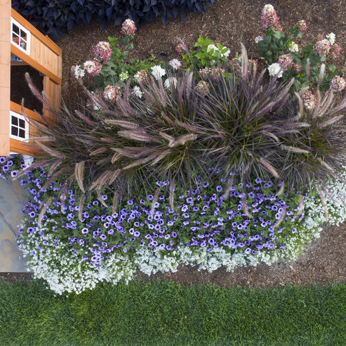 Landscape: entryway_7.jpg
