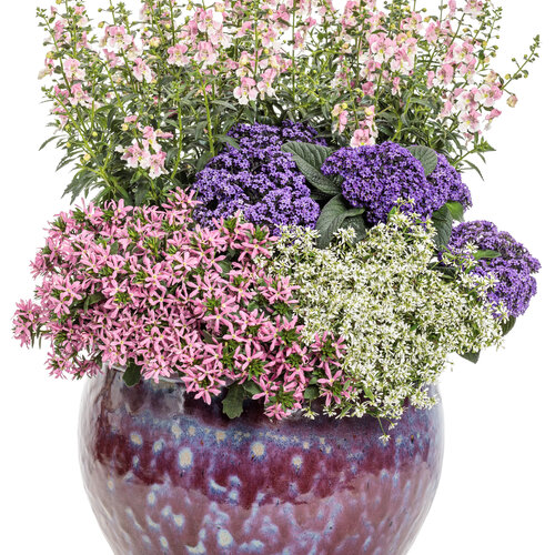 Patio Container: fashion_canvas.jpg