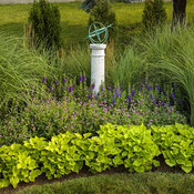 Thumbnail of Landscape: garden_grasses_and_globe.jpg