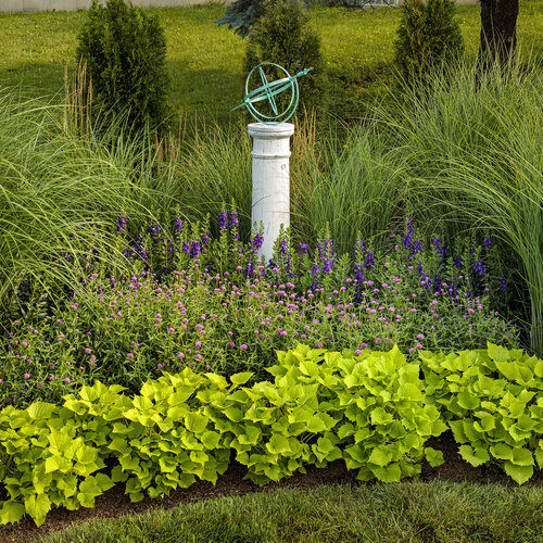 Landscape: garden_grasses_and_globe.jpg