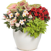 Thumbnail of Patio Container: Heart Pounding