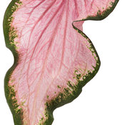 Thumbnail of Cut-out: heart_to_heart_va_va_violet_macro-01.jpg