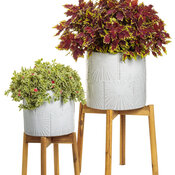 Thumbnail of Beauty Shot: Houseplants