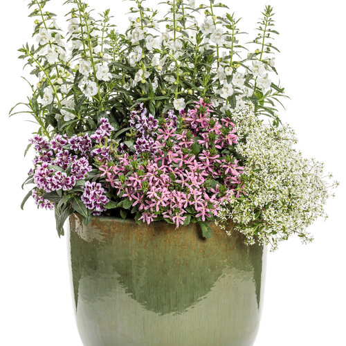 Patio Container: im_in_heaven.jpg