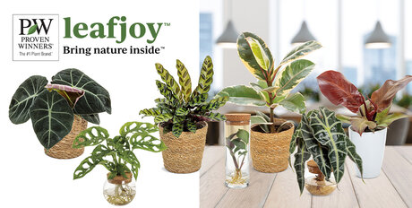 leafjoy™ bring nature inside - Home gardeners