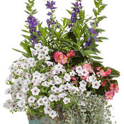Thumbnail of Patio Container: AquaPots® Volcanic on Milky Blue