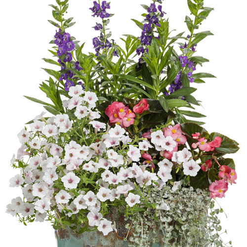 Patio Container: AquaPots® Volcanic on Milky Blue