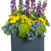 Thumbnail of Patio Container: necessity-386x601-fef1750.jpg