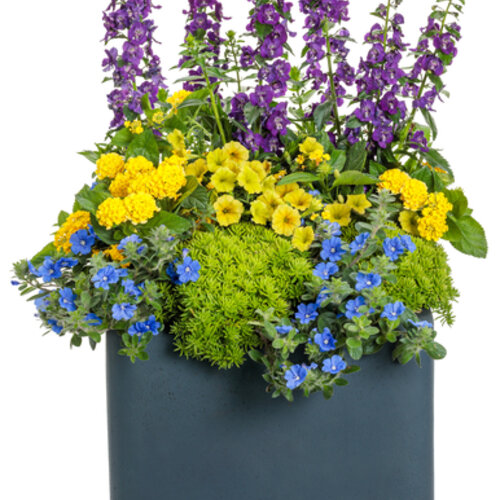 Patio Container: necessity-386x601-fef1750.jpg