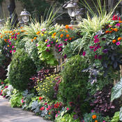 Thumbnail of Patio Container: Niagara on the Lake
