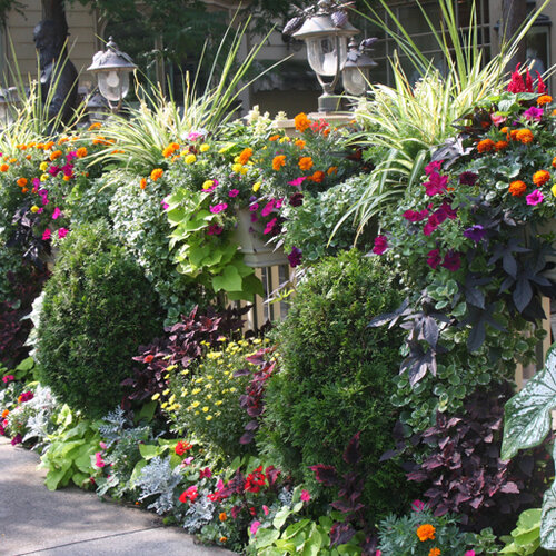 Patio Container: Niagara on the Lake