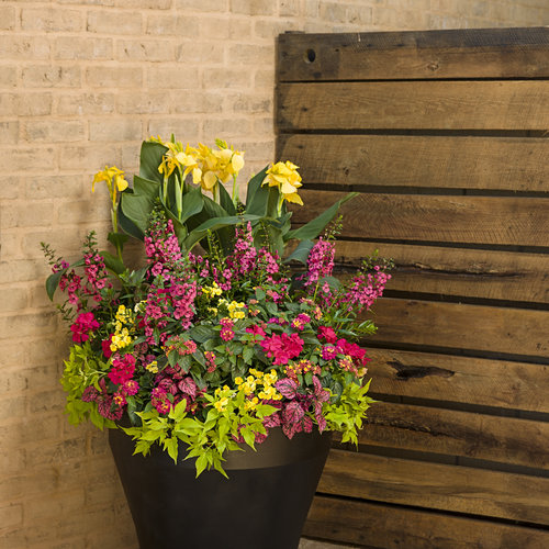 Patio Container: outdoor_scene_f_34.jpg