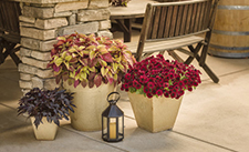 patio_scenes