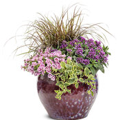 Thumbnail of Patio Container: perfection.jpg