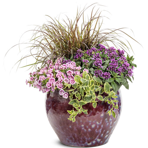 Patio Container: perfection.jpg