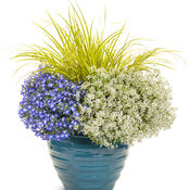 Thumbnail of Patio Container: pool_umbrella.jpg