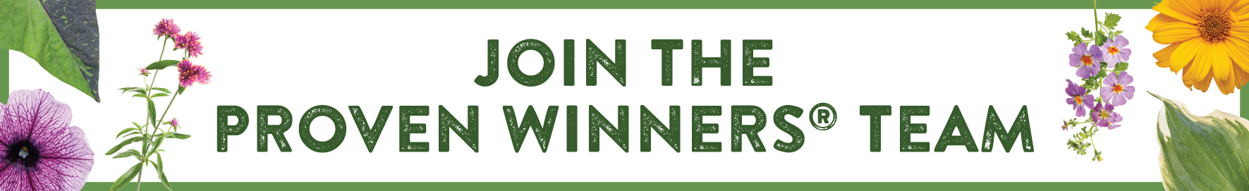 Job openings at Proven Winners Banner