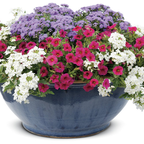 Patio Container: pwcombo9-19f04.jpg