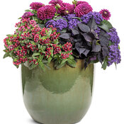 Thumbnail of Patio Container: quaint_cottage.jpg