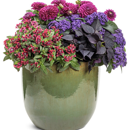 Patio Container: quaint_cottage.jpg