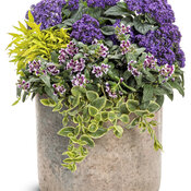 Thumbnail of Patio Container: retro_chic.jpg