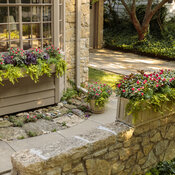 Thumbnail of Scenes: rockapulco_window_boxes_36.jpg