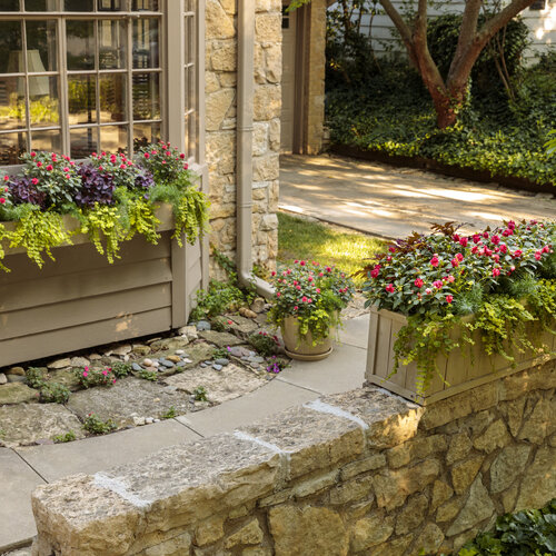 Scenes: rockapulco_window_boxes_36.jpg