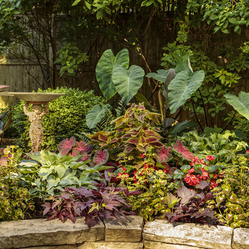 Landscape Installation: shady_patio_garden_113.jpg