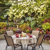 Thumbnail of Scenes: shady_patio_garden_425.jpg