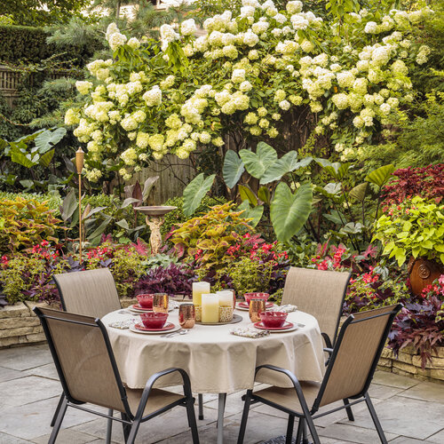 Scenes: shady_patio_garden_425.jpg