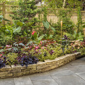 Thumbnail of Landscape: shady_patio_garden_437.jpg